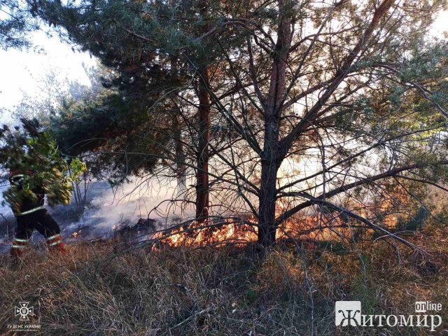 За добу рятувальники Житомирщини 9 разів виїжджали на гасіння сухостою. ФОТО