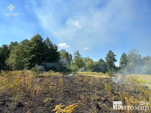 За добу рятувальники Житомирщини 9 разів виїжджали на гасіння сухостою. ФОТО