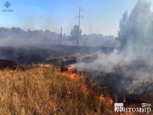 За добу рятувальники Житомирщини понад 20 разів виїжджали гасити займання сухостою