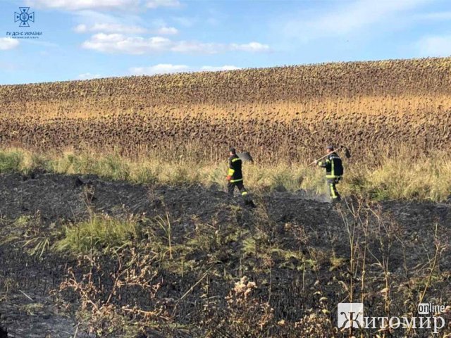 За добу рятувальники Житомирщини понад 20 разів виїжджали гасити займання сухостою