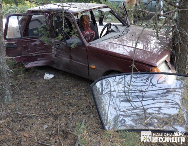 На півночі Житомирщини пенсіонер на ЗАЗ врізався в дерево, є травмовані. ФОТО