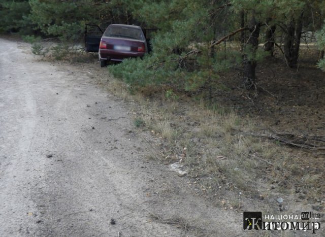 На півночі Житомирщини пенсіонер на ЗАЗ врізався в дерево, є травмовані. ФОТО