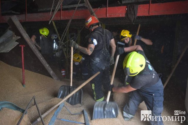 На підприємстві в Чернігові на трьох людей висипалось близько 100 тонн зерна. ФОТО