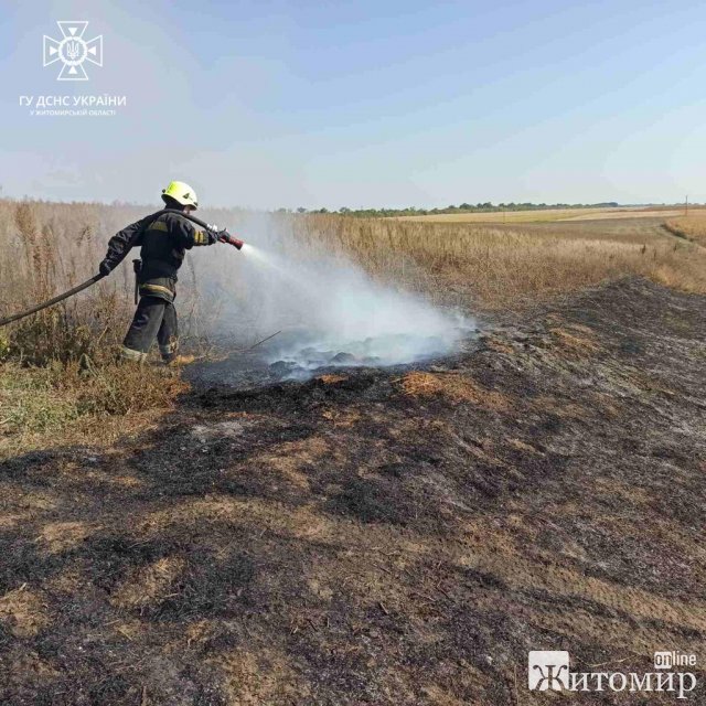 Чоловік спалював бур’ян - вогонь повністю охопив дві господарські будівлі та дах житлового будинку у селі на Житомирщині. ФОТО