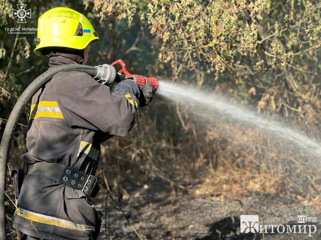 Чоловік спалював бур’ян - вогонь повністю охопив дві господарські будівлі та дах житлового будинку у селі на Житомирщині. ФОТО