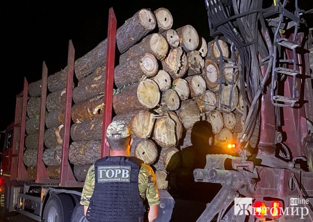 На Житомирщині прикордонники зупинили водія з Івано-Франківщини, який незаконно перевозив майже 35 кубометрів лісу