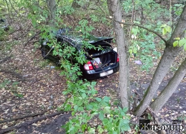 У Бердичівському районі водій з Кіровоградщини на Renault з'їхав з дороги та врізався в дерево. ФОТО