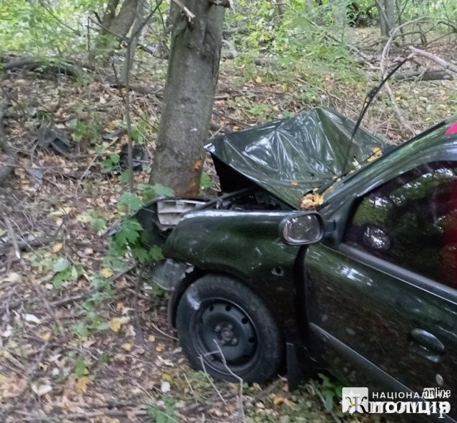 У Бердичівському районі водій з Кіровоградщини на Renault з'їхав з дороги та врізався в дерево. ФОТО