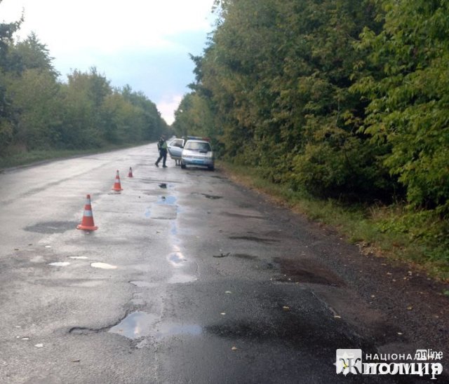 У Бердичівському районі водій з Кіровоградщини на Renault з'їхав з дороги та врізався в дерево. ФОТО