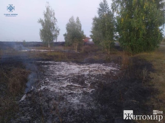 Минулої доби рятувальники Житомирщини шість разів гасили пожежу в природних екосистемах. ФОТО