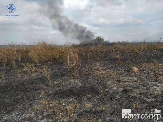 Минулої доби рятувальники Житомирщини шість разів гасили пожежу в природних екосистемах. ФОТО