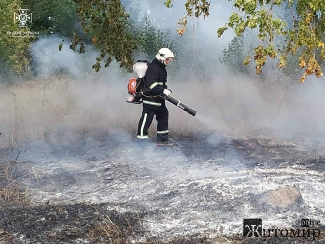 Минулої доби рятувальники Житомирщини шість разів гасили пожежу в природних екосистемах. ФОТО