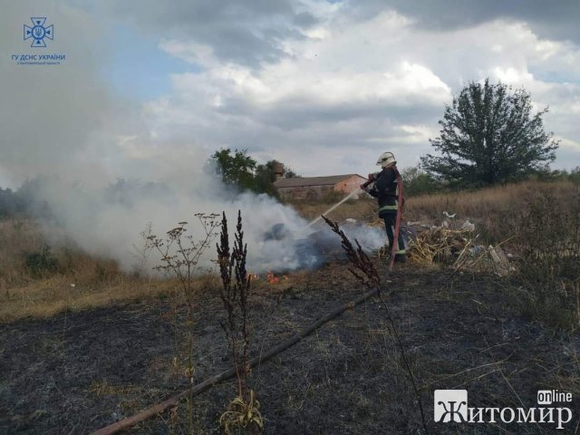 Минулої доби рятувальники Житомирщини шість разів гасили пожежу в природних екосистемах. ФОТО