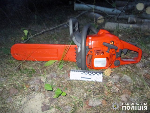 Між населеними пунктами Бердичівської громади затримали четверо чоловіків, які незаконно вирізали деревину. ФОТО