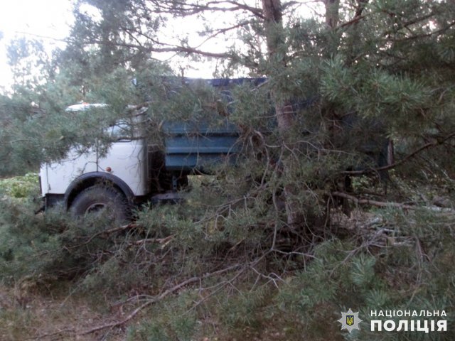Між населеними пунктами Бердичівської громади затримали четверо чоловіків, які незаконно вирізали деревину. ФОТО