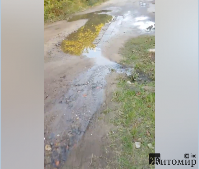 На вулиці Зеленій в Житомирі декілька днів тече вода: комунальники нічого не зробили. ФОТО