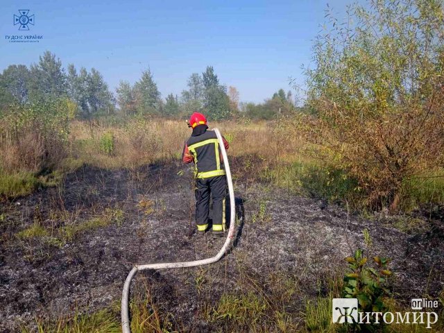 Через недопалок у селі поблизу Житомира згоріли сарай, сінник та дах господарської будівлі. ФОТО