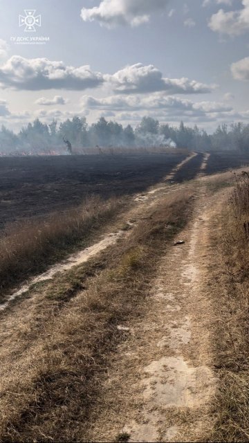 У двох містах та трьох селах Житомирщини горів сухостій. ФОТО