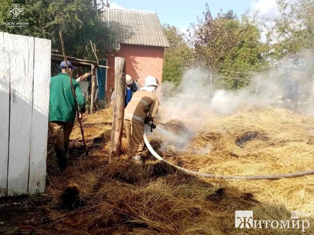 Через диятчі пустощі у селі Барашівської громади горів сінник: вогонь знищив 4 тонни сіна. ФОТО