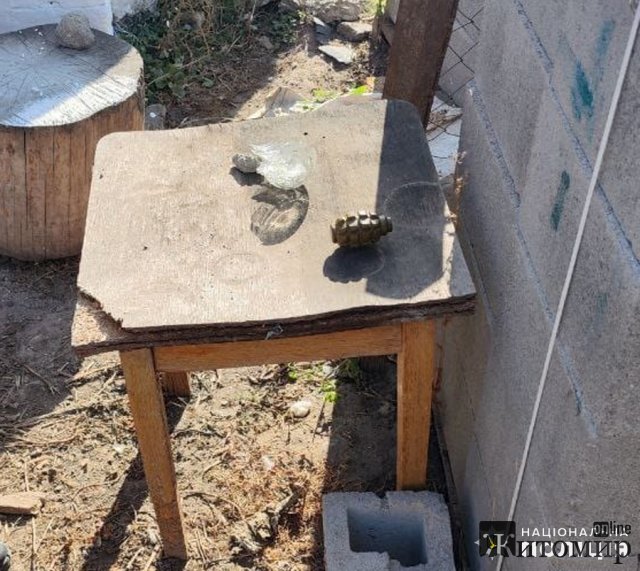 У жителя одного з сіл Бердичівського району поліцейські вилучили бойову гранату. ФОТО