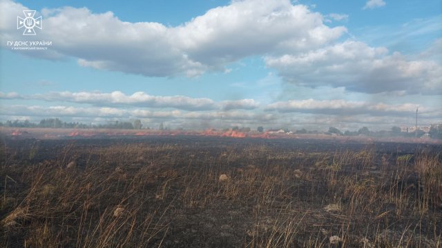 Минулої доби на Житомирщині сталося 10 пожеж в екосистемі. ФОТО