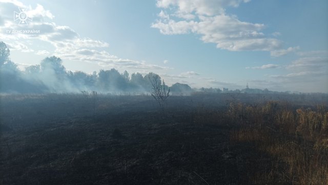 Минулої доби на Житомирщині сталося 10 пожеж в екосистемі. ФОТО
