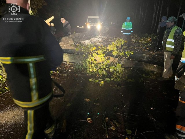 На Житомирщині вирувала негода: наслідки. ФОТО