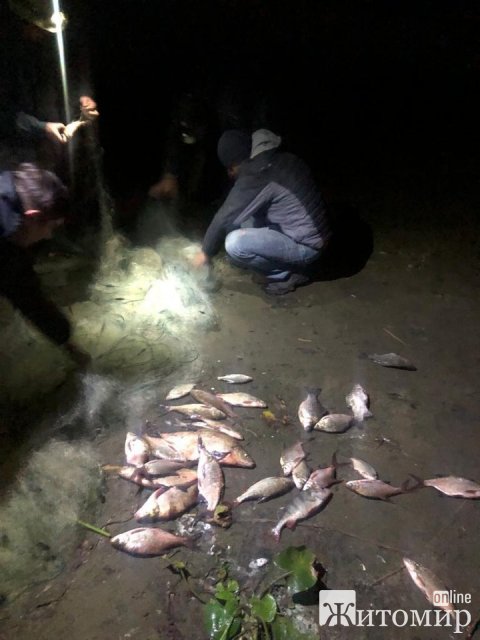 На Житомирщині екологи зафіксували порушення правил рибальства майже на 800 тис. грн. ФОТО