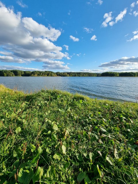 Сонячно-осінній день у житомирському гідропарку. ФОТО