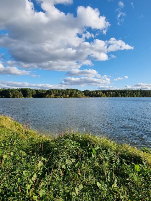 Сонячно-осінній день у житомирському гідропарку. ФОТО