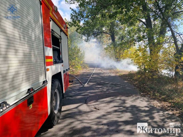 У селі на Житомирщині горів сухостій: через вітер вогонь ледь не дібрався до будинків. ФОТО