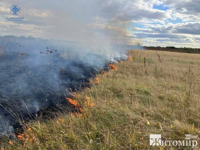 У селі на Житомирщині горів сухостій: через вітер вогонь ледь не дібрався до будинків. ФОТО