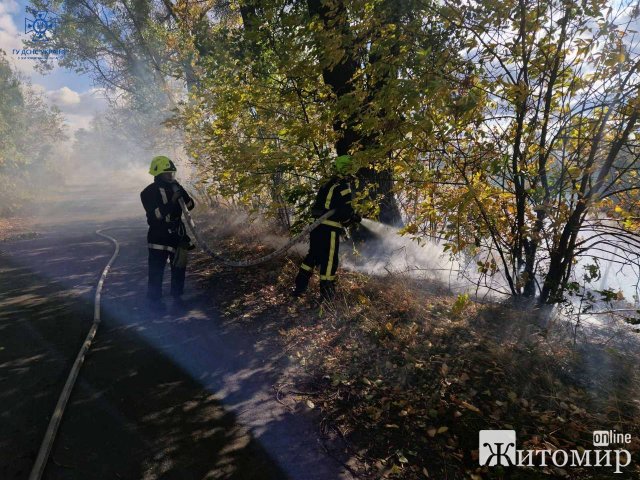 У селі на Житомирщині горів сухостій: через вітер вогонь ледь не дібрався до будинків. ФОТО