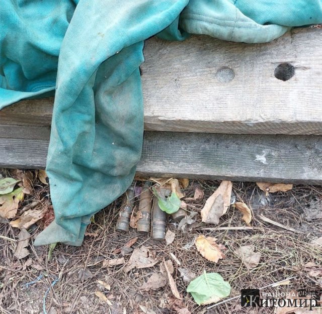 У лісовому масиві на Житомирщині чоловік знайшов 4 снаряти та вирішив залишити собі. ФОТО
