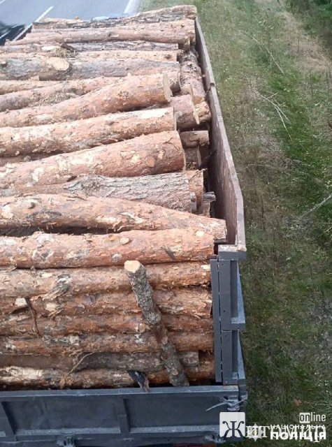 На півночі Житомирщини поліцейські зупинили КамАЗ: водій перевозив деревину без дозвільних документів. ФОТО