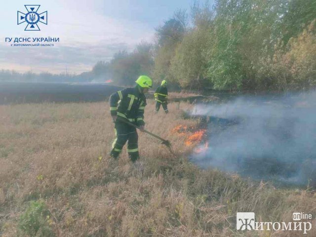 Минулої доби на Житомирщині горіла рослинність на площі близько 22 га. ФОТО