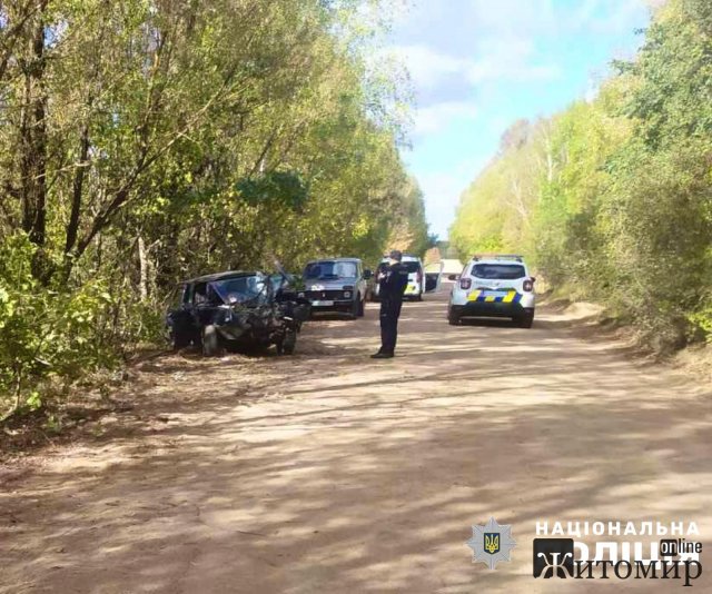 Неподалік одного з сіл Новоборівської громади п