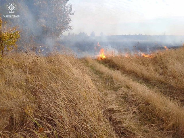 Минулої доби рятувальники Житомирщини 7 разів виїжджали гасити займання сухої рослинності. ФОТО