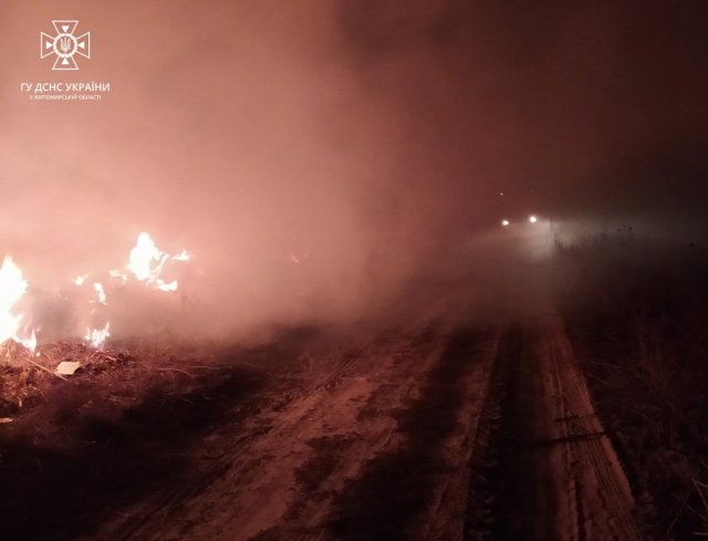 Минулої доби рятувальники Житомирщини 7 разів виїжджали гасити займання сухої рослинності. ФОТО