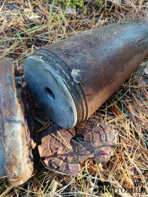 На півночі Житомирщини грибник натрапив на снаряд від реактивної системи залпового вогню "Ураган". ФОТО