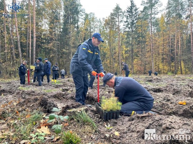 Житомирські рятувальники висадили 4 тисячі дерев в памʼять загиблих колег 