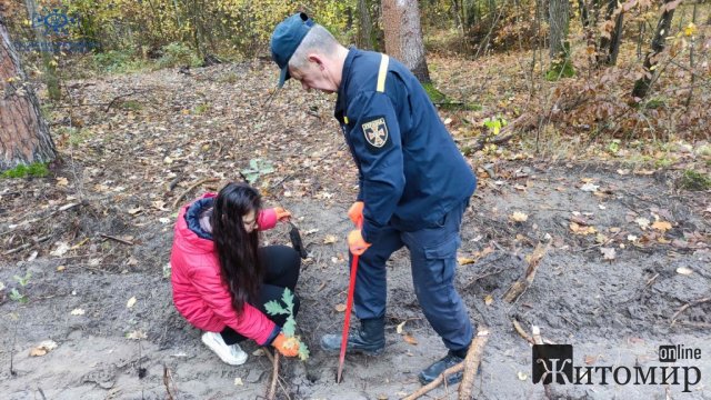 Житомирські рятувальники висадили 4 тисячі дерев в памʼять загиблих колег 