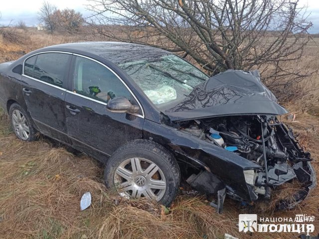 На Житомирщині Volkswagen з’їхав у кювет та врізався в дерево: постраждала 20-річна пасажирка. ФОТО