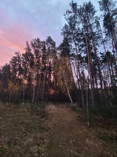 Листопадний сонцесхід у Житомирі. ФОТО