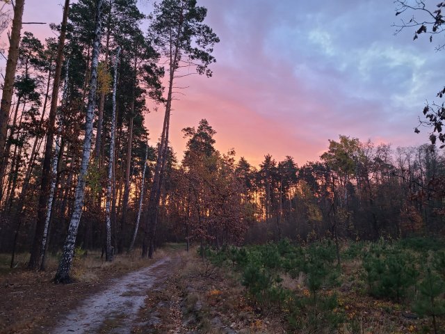Листопадний сонцесхід у Житомирі. ФОТО