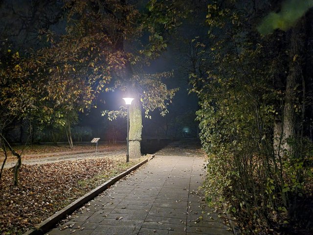 Вечірній Шодуарівський парк у Житомирі. ФОТО