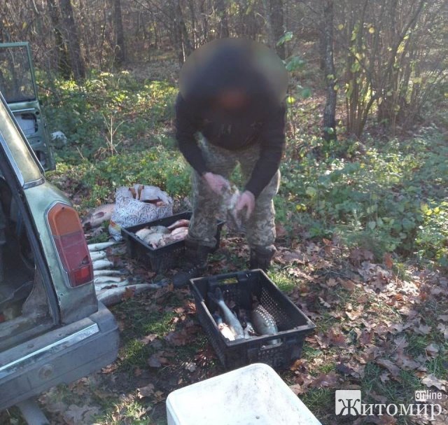 У Житомирському районі рибоохоронний патруль виявив в автівці чоловіка 66 кг свіжої риби. ФОТО