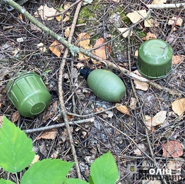 На Житомирщині судитимуть чоловіка, який викрав свою колишню співмешканку, погрожуючи гранатою та пістолетом