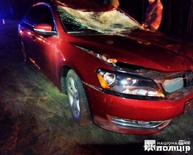 На Житомирщині Volkswagen здійснив зіткнення з возом, який стояв на проїзній частині. ФОТО