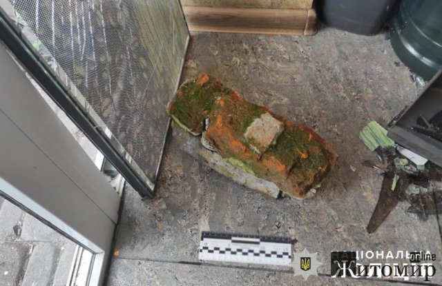 На Звягельщині затримали чоловіка, який розбив цеглиною двері у кафе та викрав гроші. ФОТО